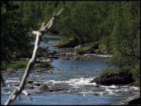 Bifogad bild: norge2010augusti132.jpg